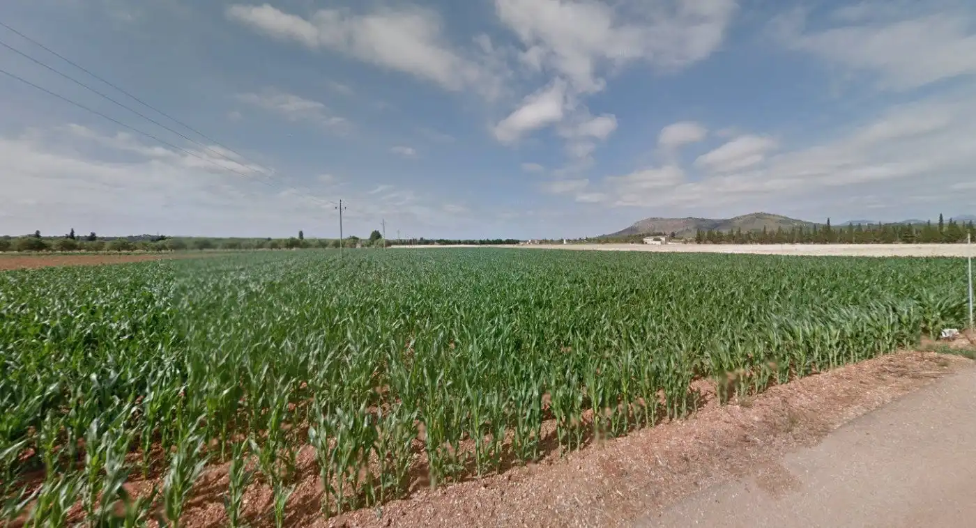 Wohnbaugrundstück zum Verkauf in Sa Pobla, imagen 6