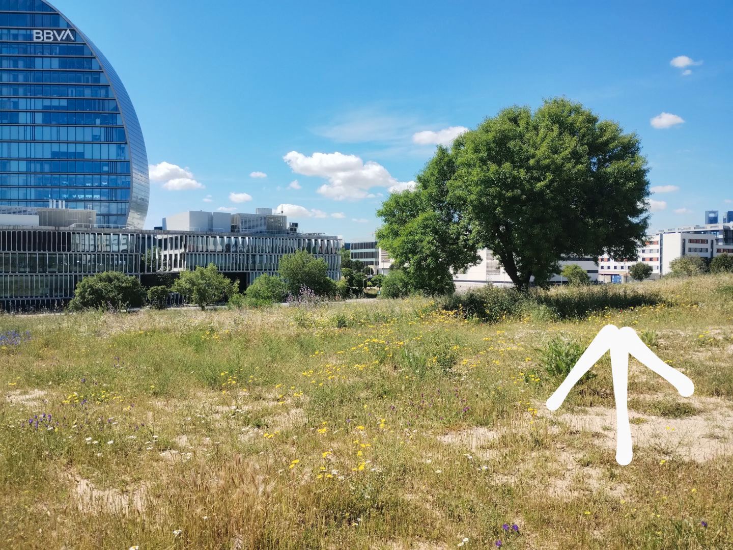 Industrial land for sale in Calle de Juan Agüí, 25, Las Tablas