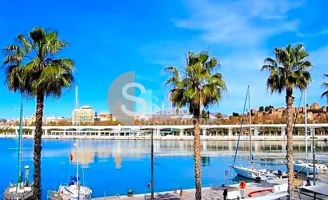 Vista exterior de Piso en venta en Marbella con Parquet y Terraza