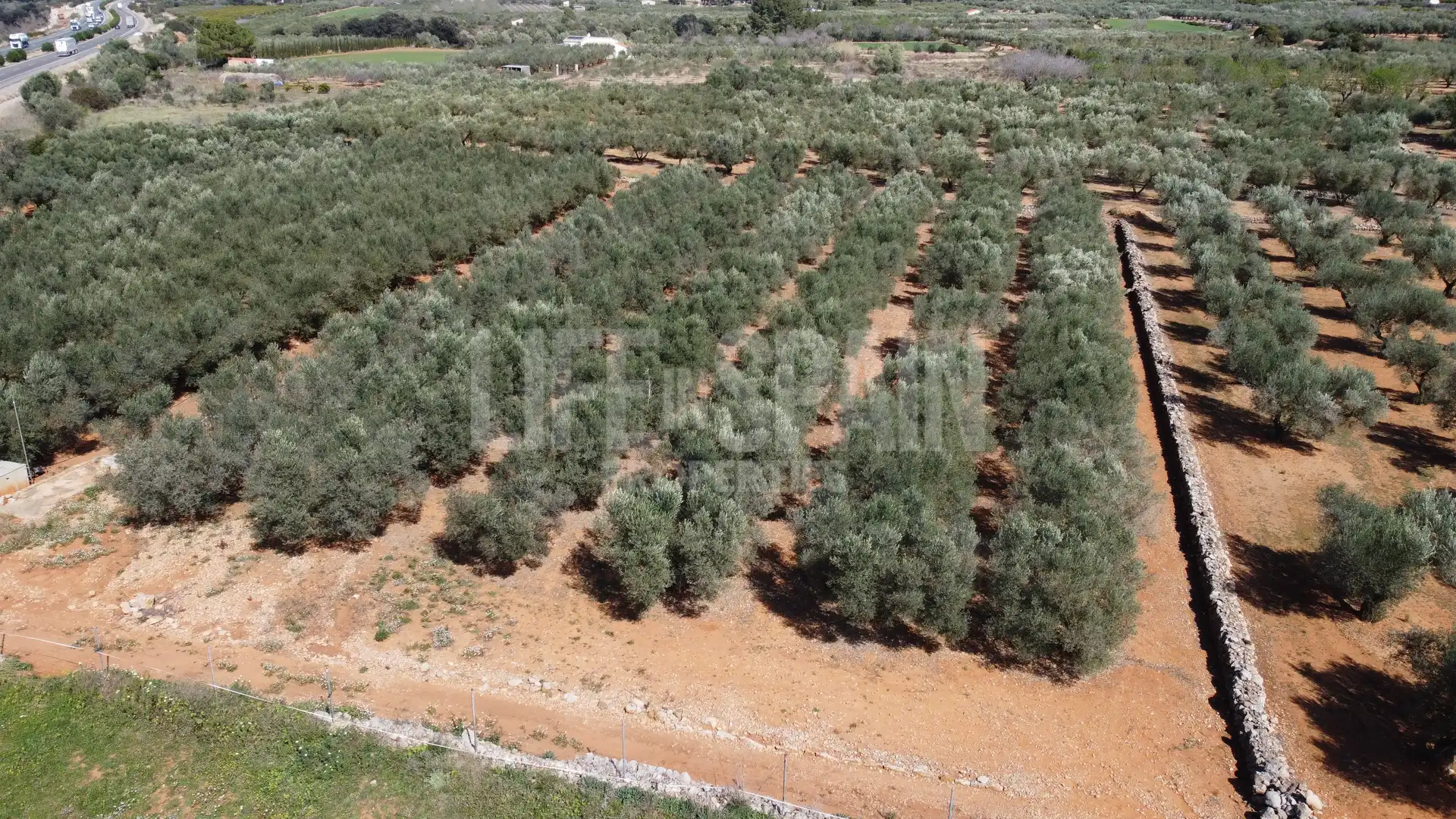 Terreno rustico in vendita a Freginals, imagen 12
