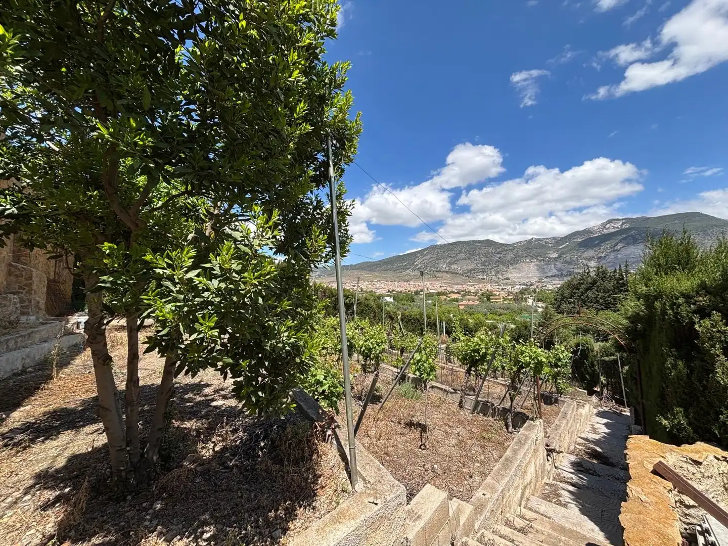 Detached house with pool for sale in CAMINO VIEJO DE MOTRIL, imagen 70