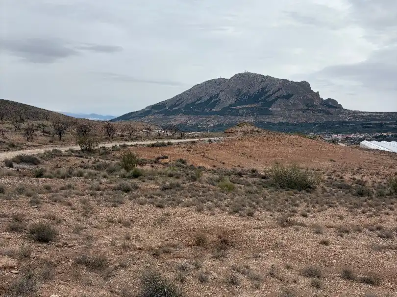 Terreno rustico in vendita a Carretera de Freila 190, imagen 4
