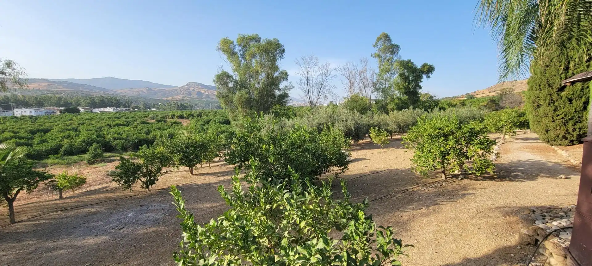 Finca rústica en venda en Pizarra amb Aire condicionat, Calefacció i Piscina
