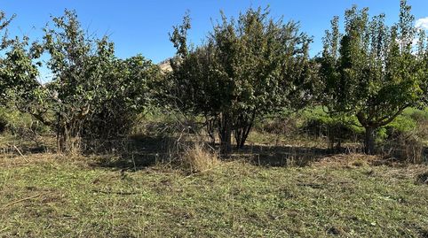 FINCA DE LABOR EN PEDRO RUIZ, GRANADA., imagen 5