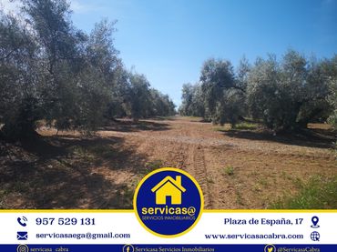 Terreno rustico in vendita a Cabra