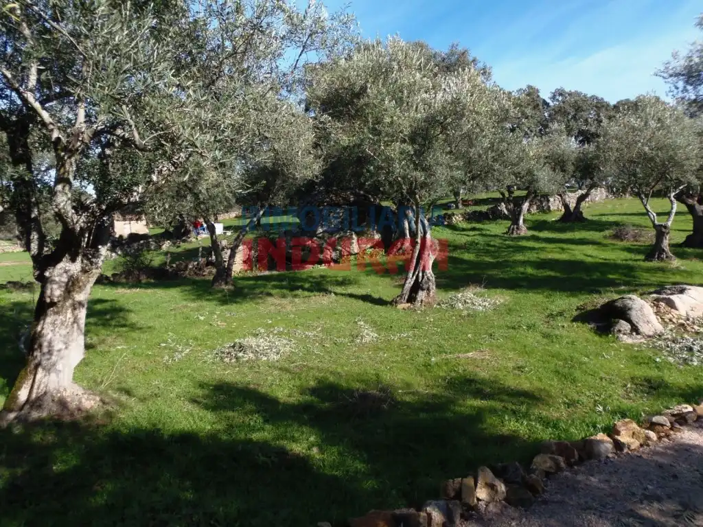 Casa rústica en venda a Belvís de Monroy, imagen 3