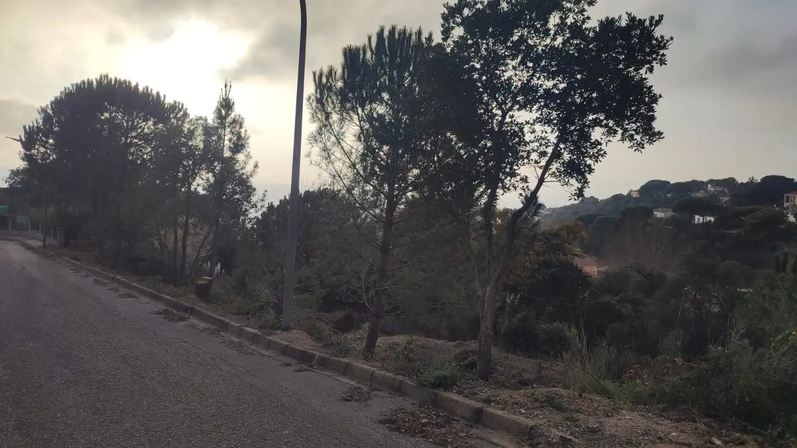 Terreny residencial en venda a Avinguda de la Senyera, imagen 2