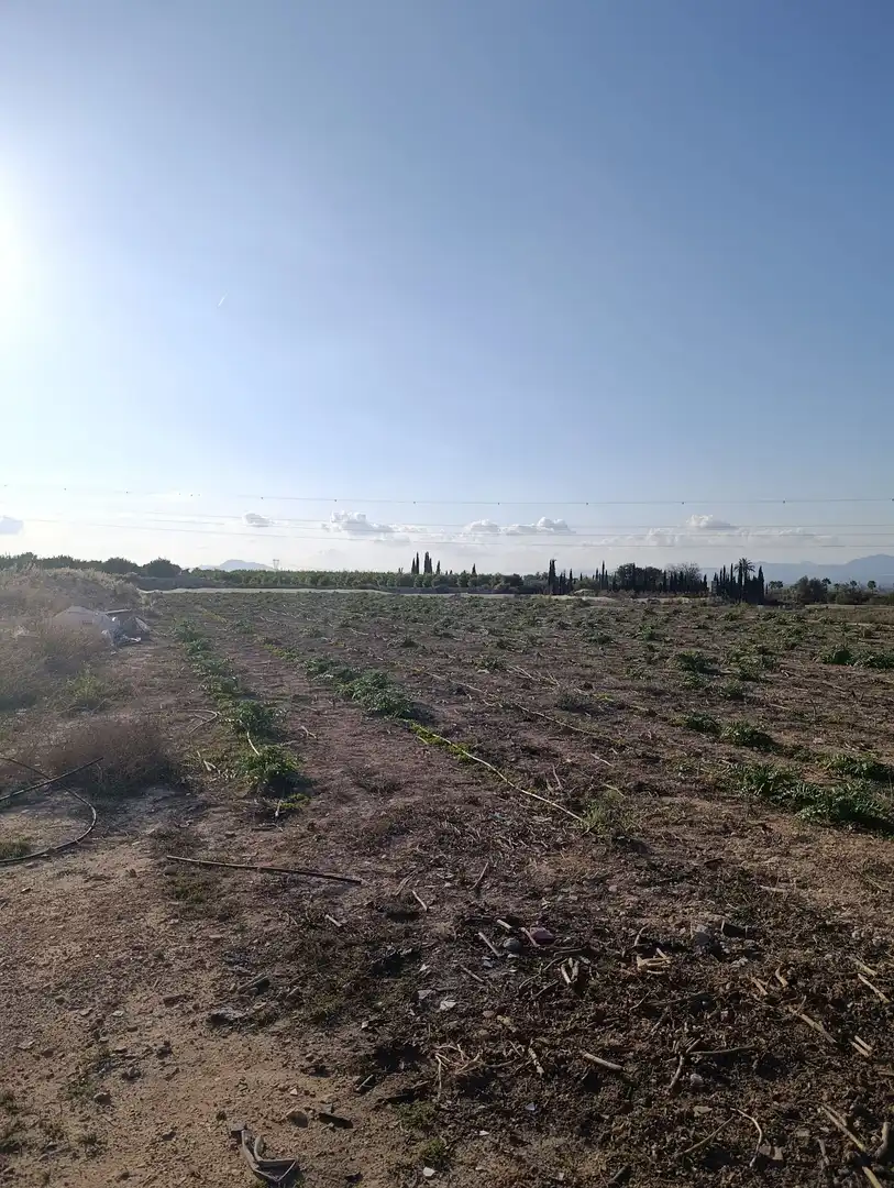 Terrain rustique à vendre à La Marina, imagen 13