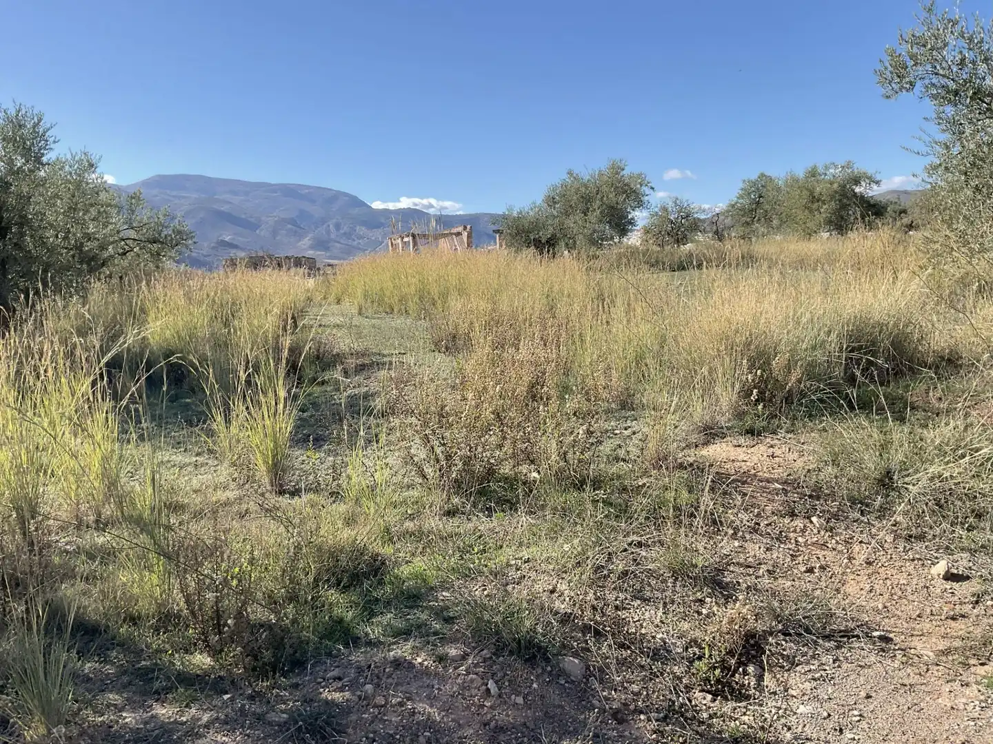 Land for sale in Padules