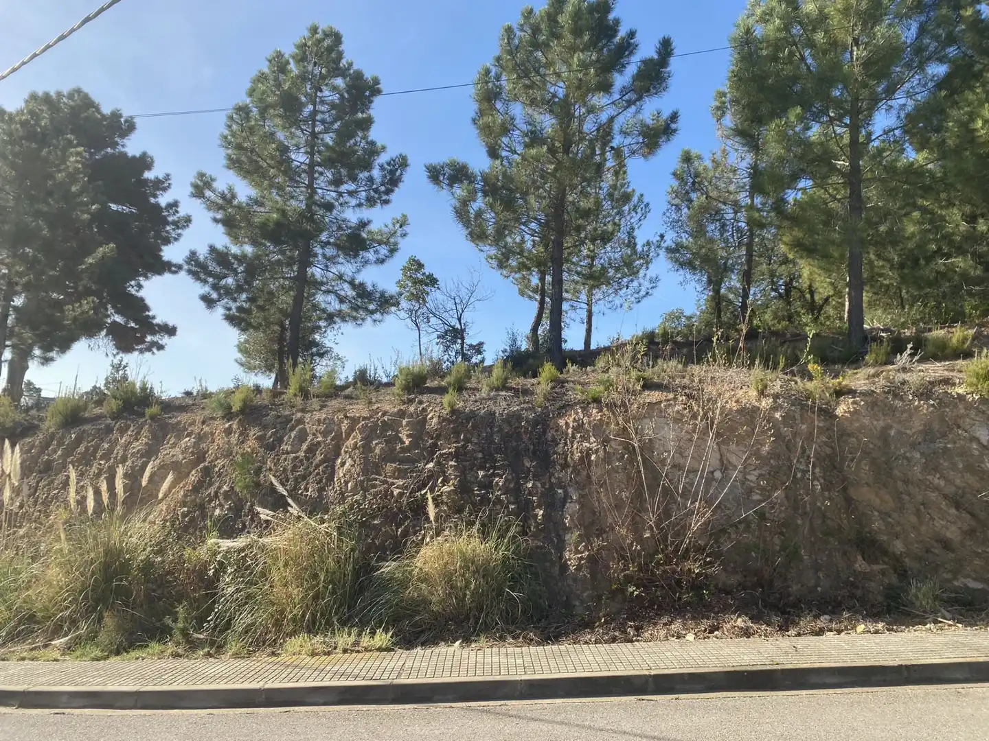 Terreno residencial en venta en Calle Lirios 23, imagen 7