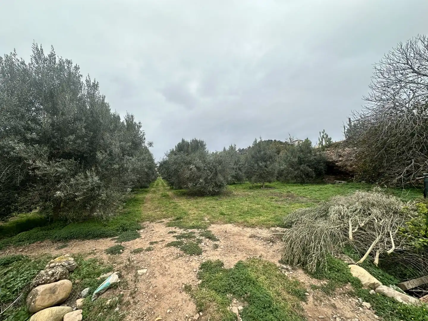 Wohnbaugrundstück zum Verkauf in Petrés, imagen 36