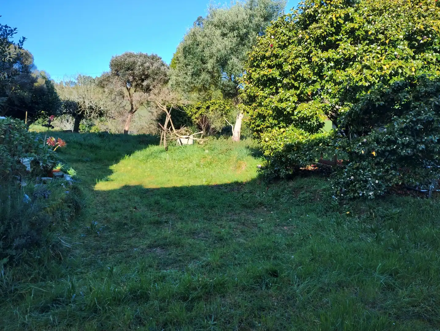 Maison avec jardin à vendre à Vilarmaior, imagen 8