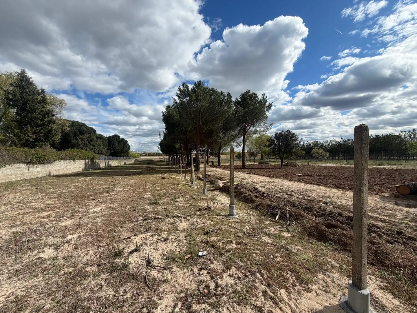 Terreno rustico in vendita a Diseminado Diseminados, imagen 8