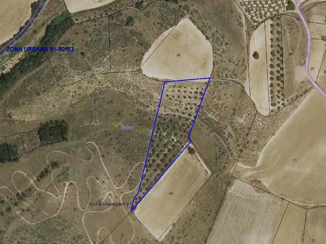 Terreno en Venta en Martinamor