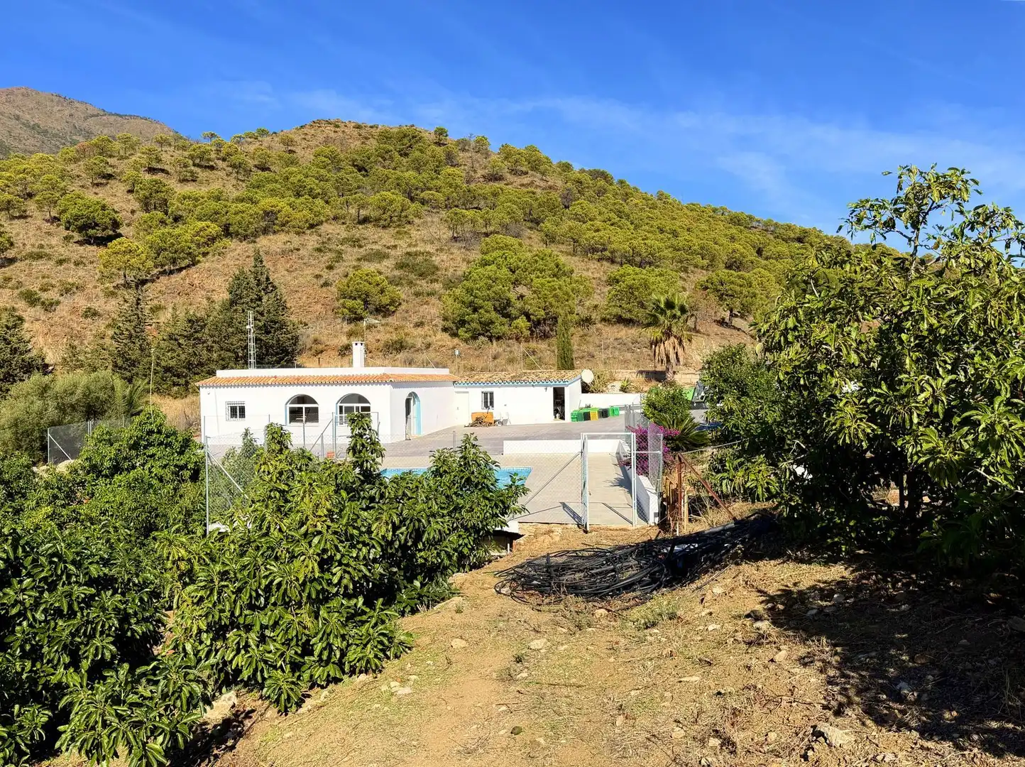 House with pool for sale in Avenida España, imagen 35