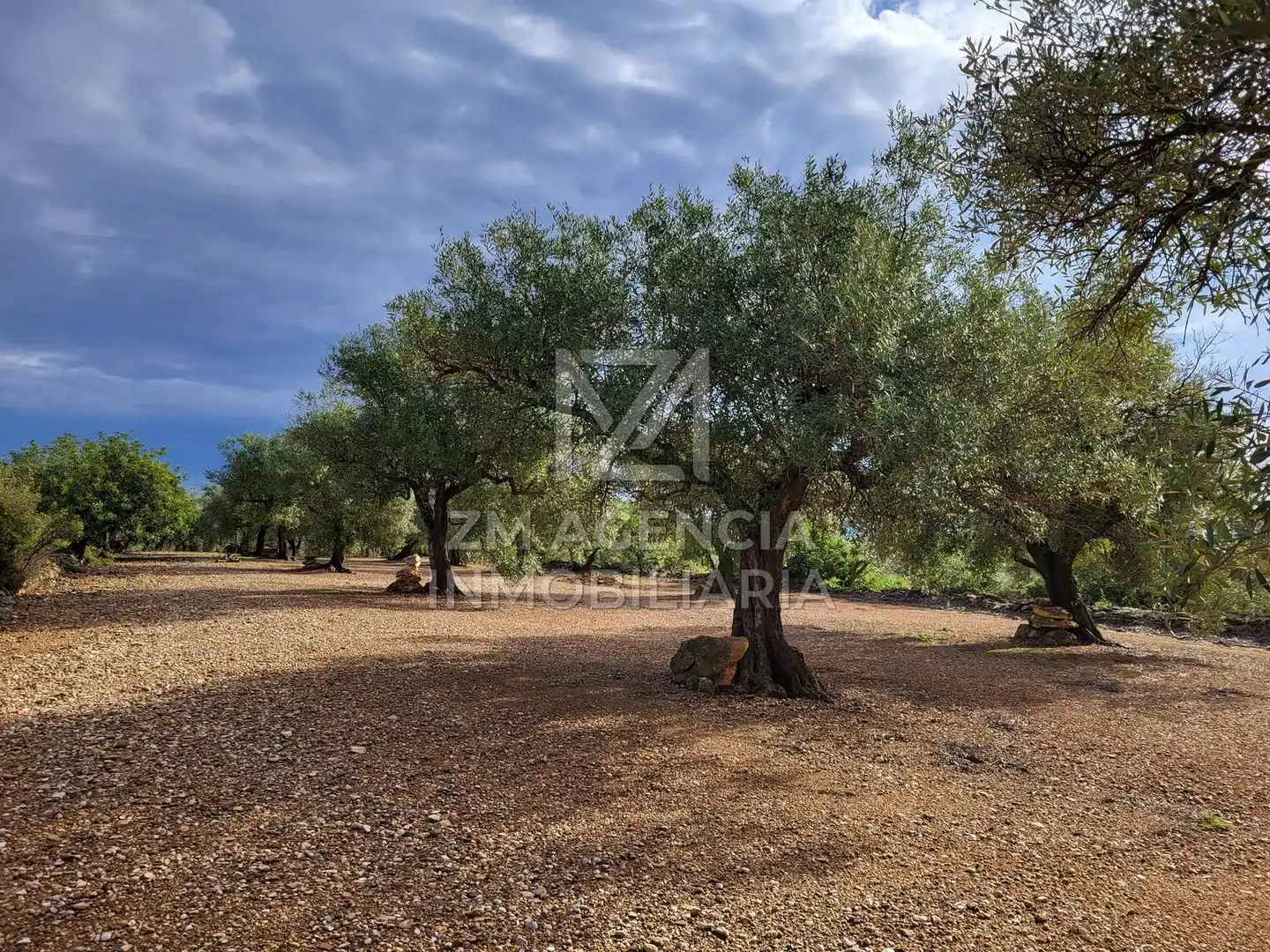 Casa rústica en venta en Traiguera, imagen 4