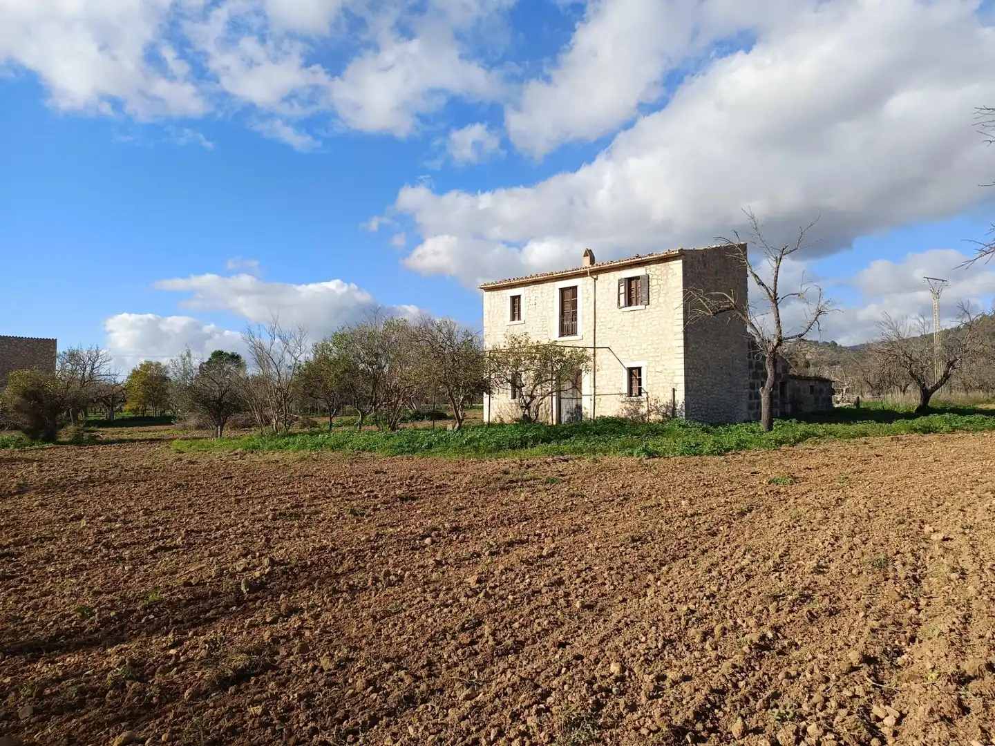 Country homes for sale in Binissalem  with Private garden