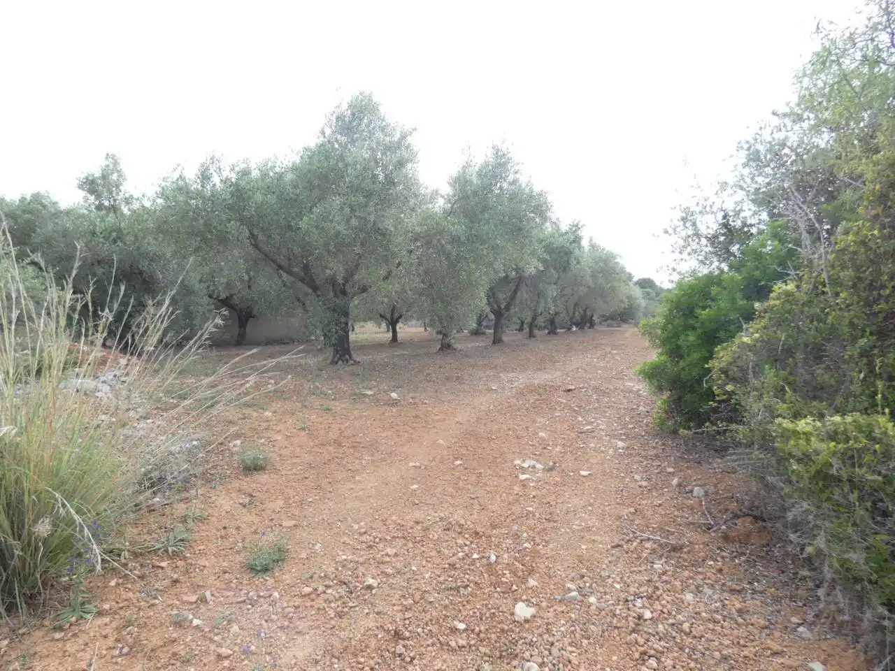 Rural land for sale in Pueblo, imagen 5