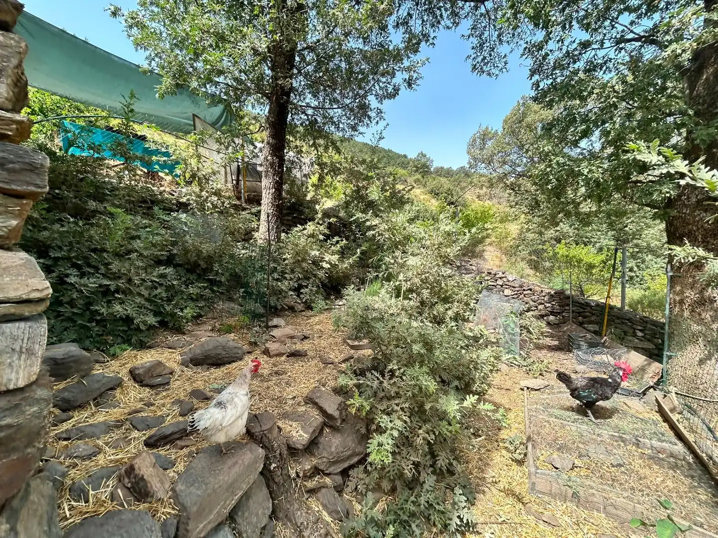 Casa amb jardí en venda a Güéjar Sierra, imagen 37