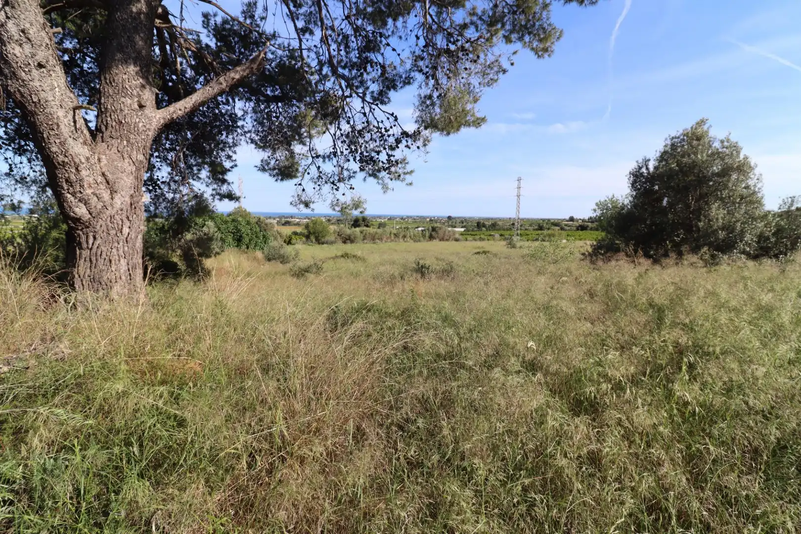 Terreno rústico en venta en Alcanar, imagen 25