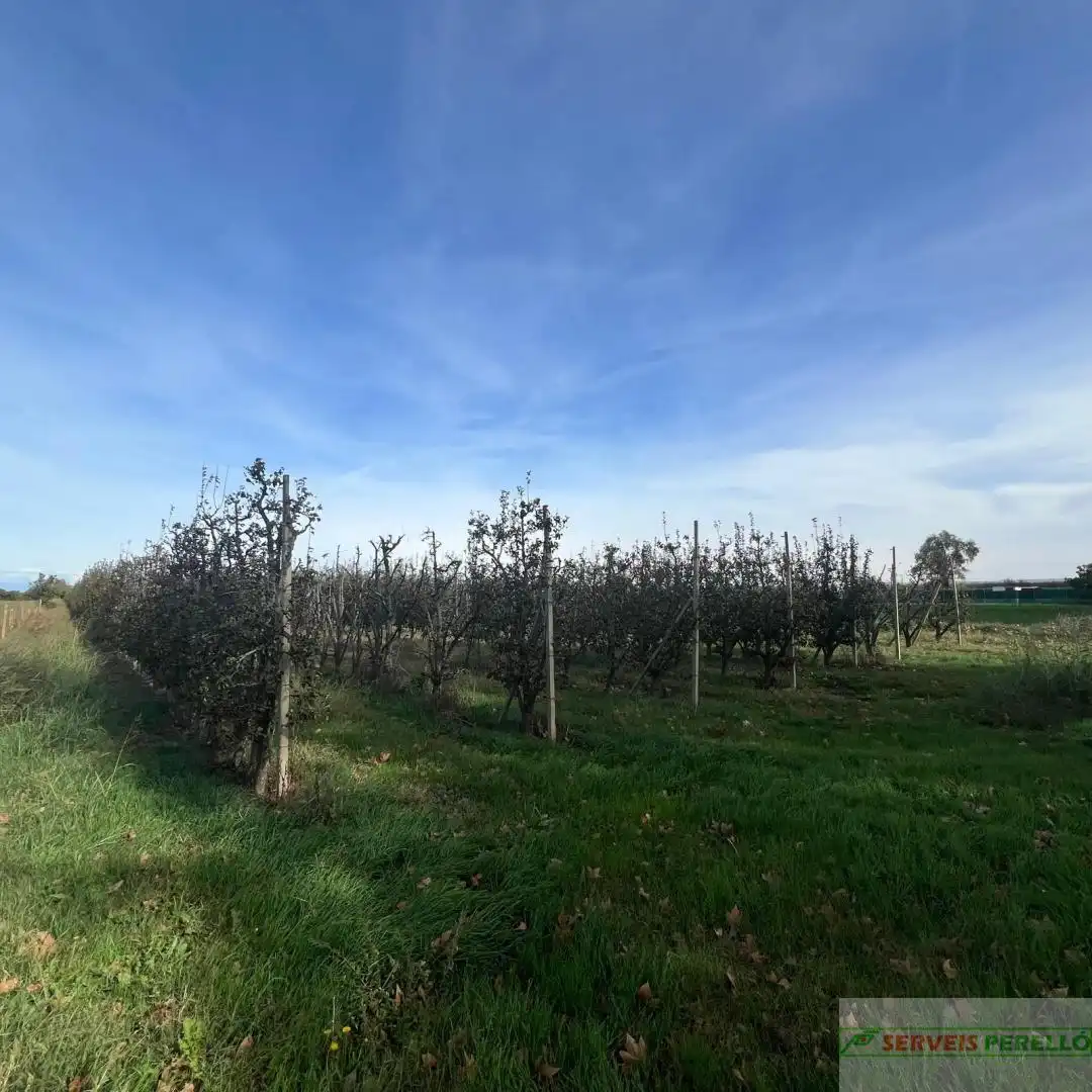 Terrenos y solares en venta en Golmés, imagen 5
