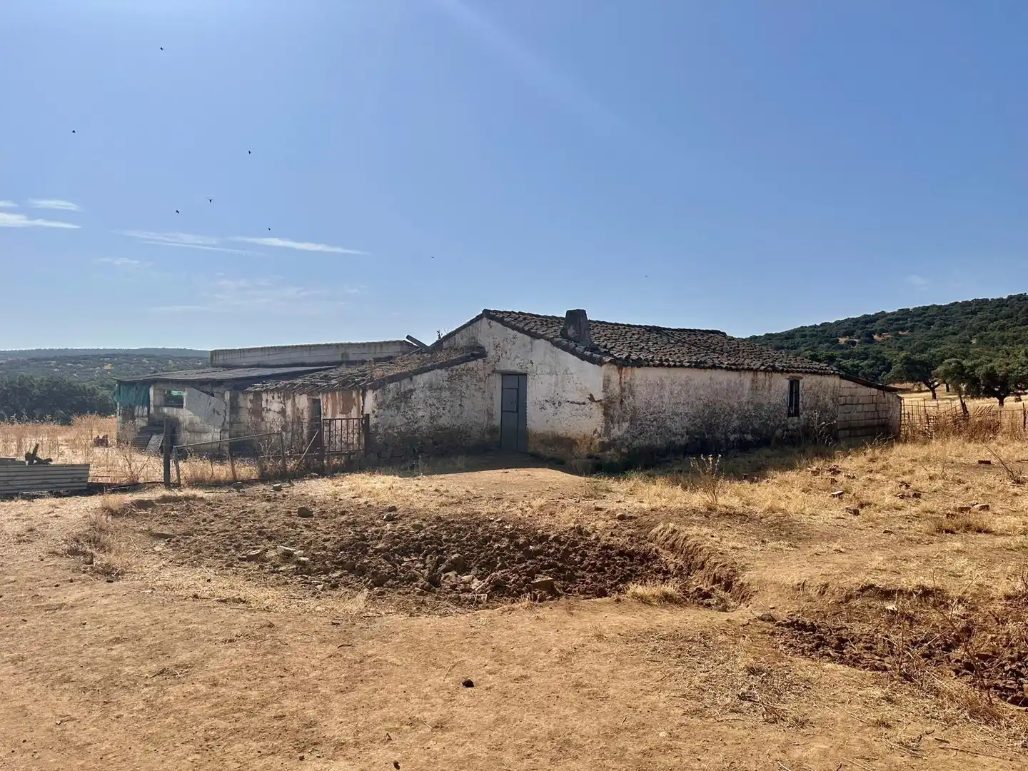 Rural land for sale in Fuente Obejuna, imagen 33
