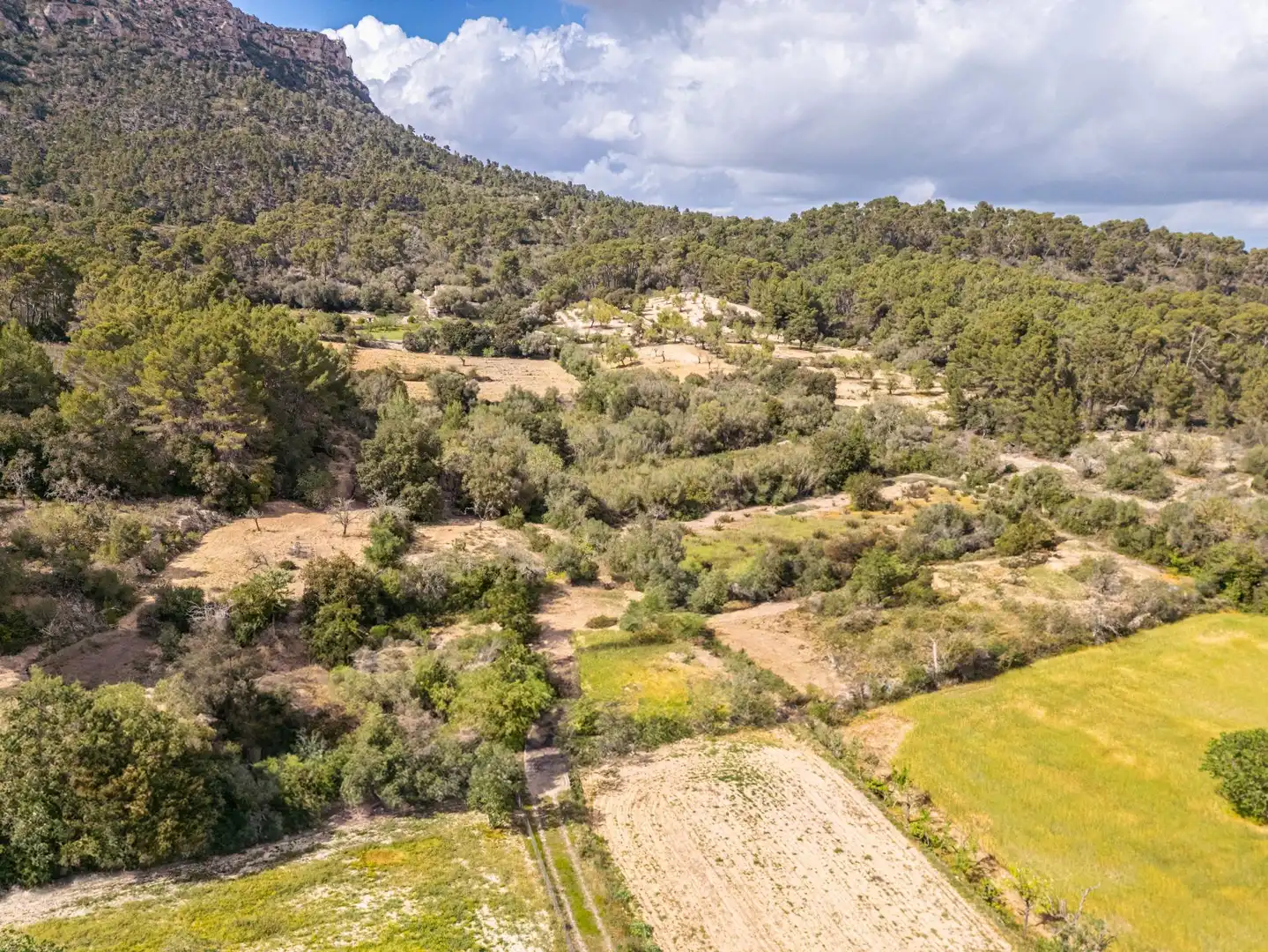 Terreno rustico in vendita a Llucmajor pueblo, imagen 11
