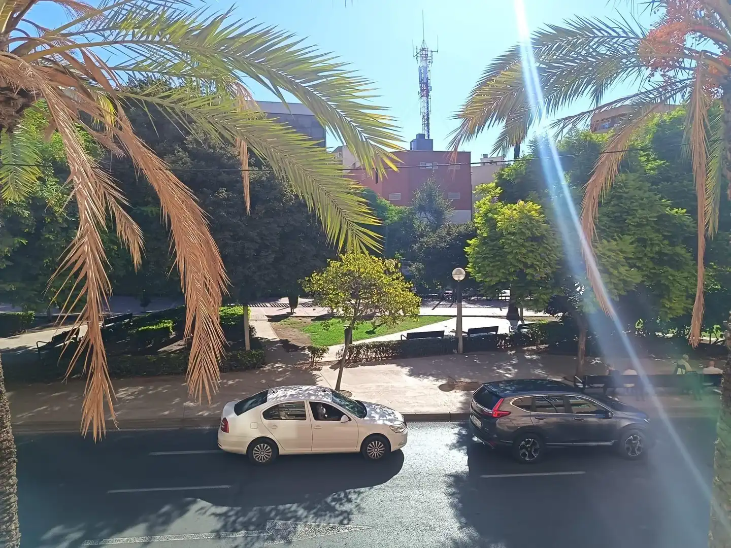 Business premises for transfer in Campoamor - Altozano, imagen 4