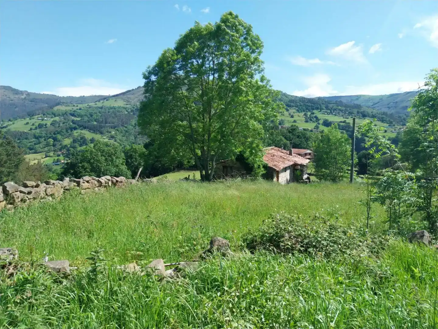 Finca rústica en venda en Luena 