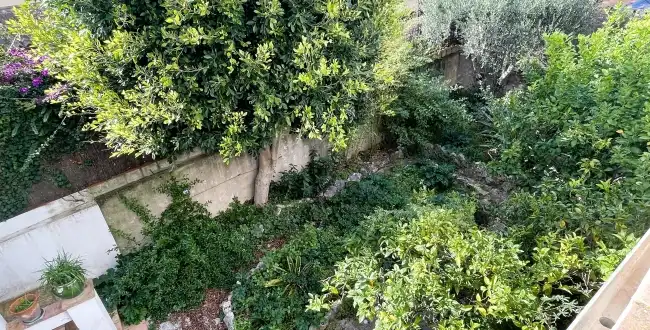 Haus mit Garten zum Verkauf in Vila de Palafrugell, imagen 5