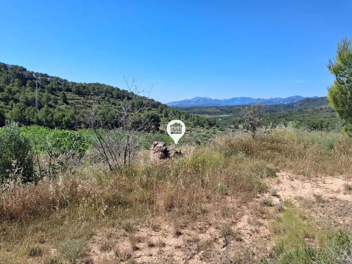 Land for sale in Madrid