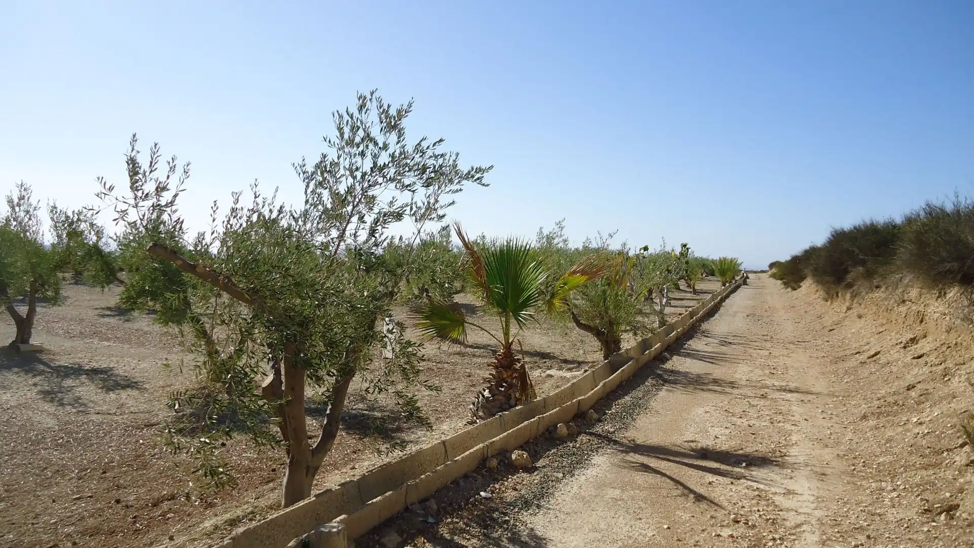 Lands and plots for sale in Abanilla, imagen 18