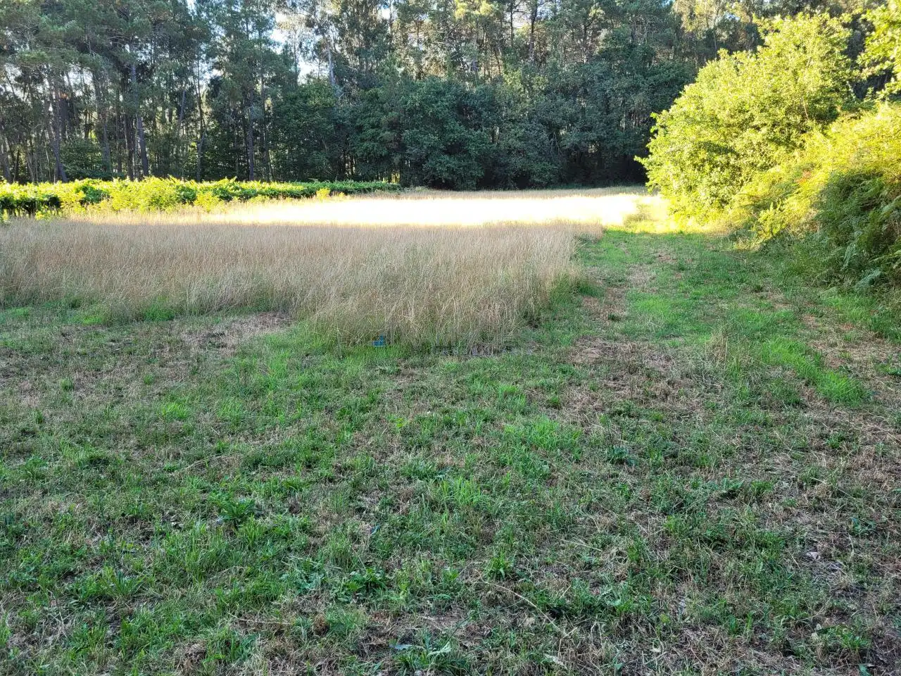Terreno rustico in vendita a Tui, imagen 4