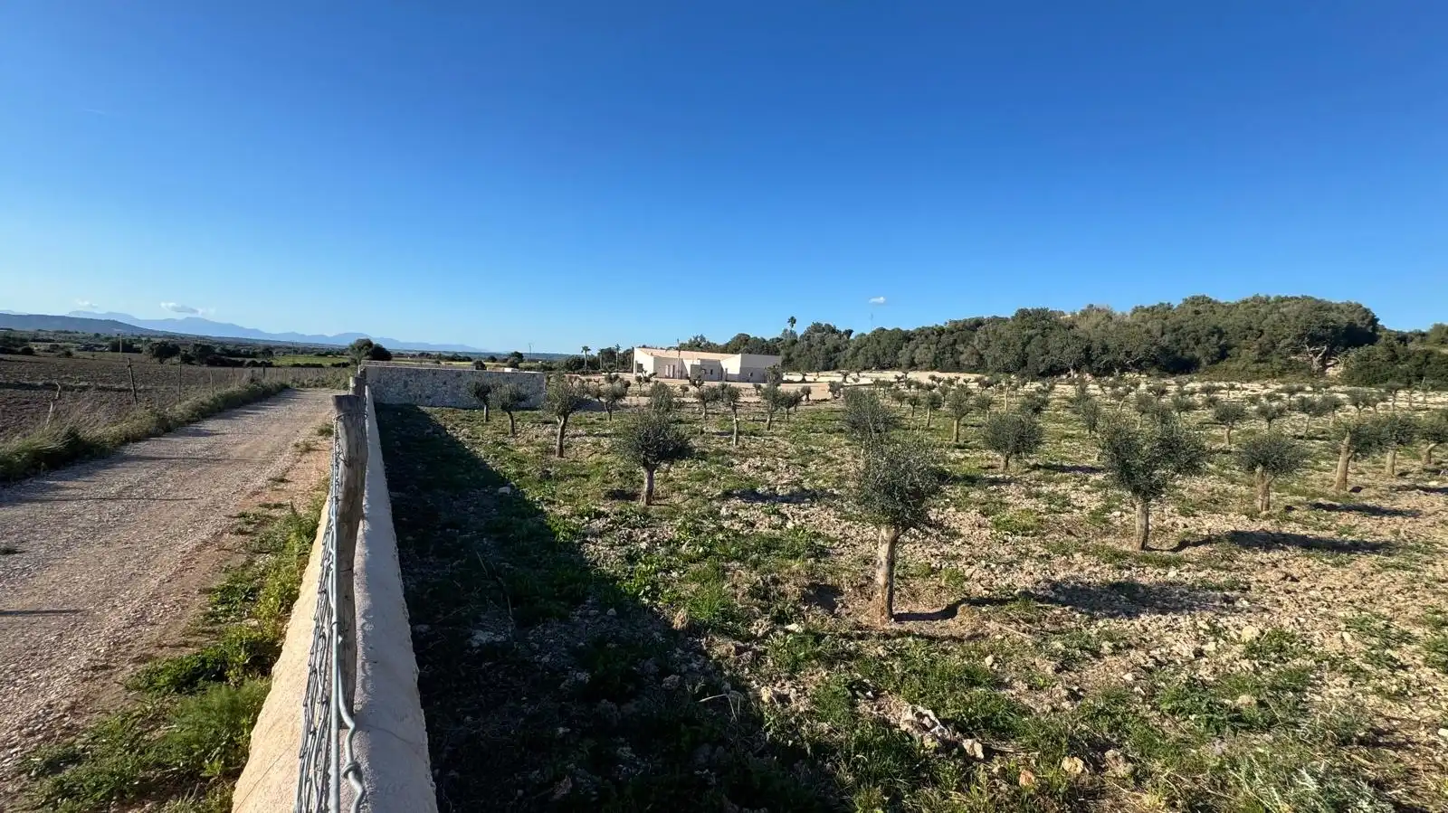 Finca rústica en venda en Manacor amb Aire condicionat, Calefacció i Traster