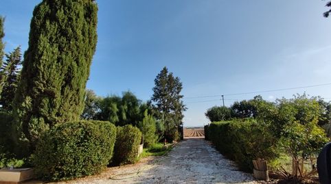 Foto 2 de Finca rústica en venda a Calle Infierno, el - Ds Palma, La Palma, Cartagena