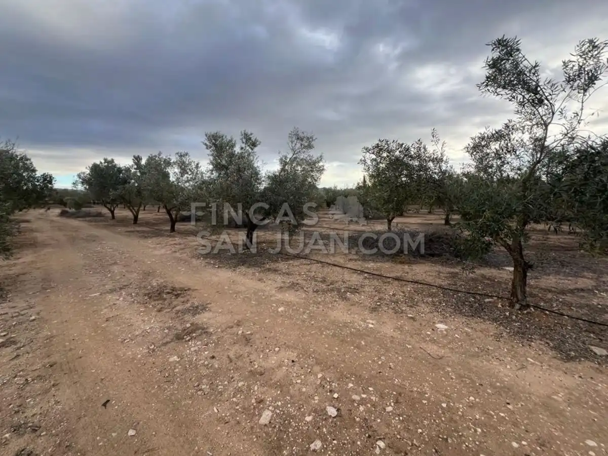 Country homes for sale in Biar