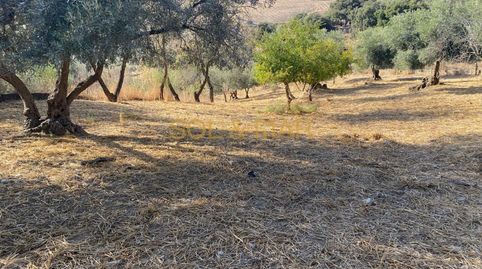 Foto 4 de Finca rústica en venta en Cueva de Menga, Antequera