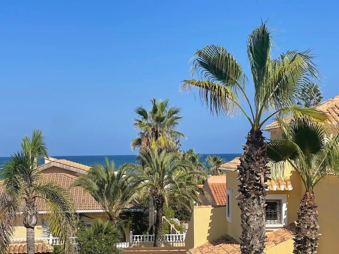 Vista exterior de Casa adosada en venda en Torrevieja amb Aire condicionat, Calefacció i Jardí privat