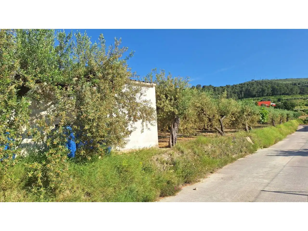 Terrain rustique à vendre à Caseta Romero, imagen 2