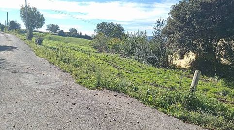 Consultoría Inmobiliaria Urdina VENDE Finca Rustica en Arnuero  Cantabria, immagine 2