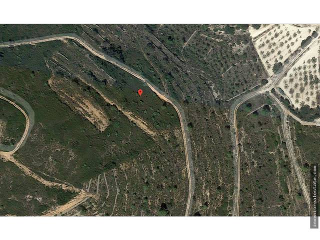 Finca rústica en Venta en Vilanova d'Alcolea