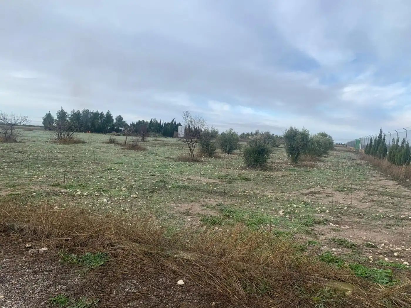 Terreni e lotti in vendita a Munera