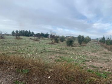 Terreno rustico in vendita a Munera