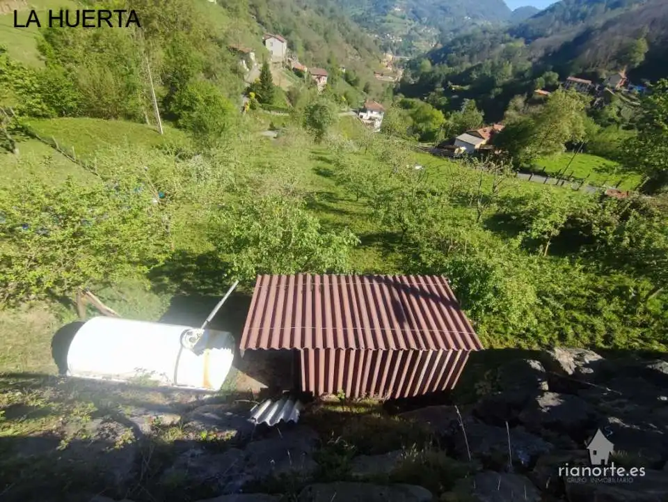 Terreno rustico in vendita a San Martín del Rey Aurelio, imagen 14