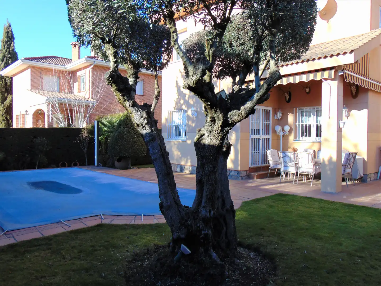 Jardí de Casa o xalet en venda en Colmenar Viejo amb Aire condicionat, Calefacció i Jardí privat