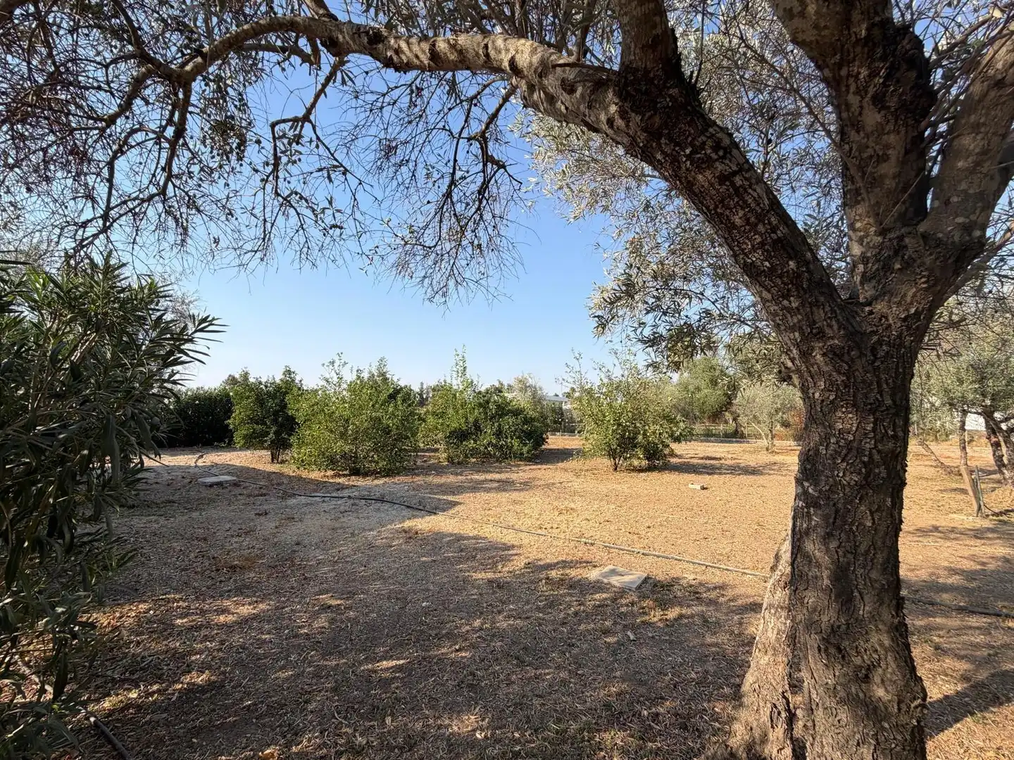 Villa avec piscine à vendre à Carmona, imagen 39