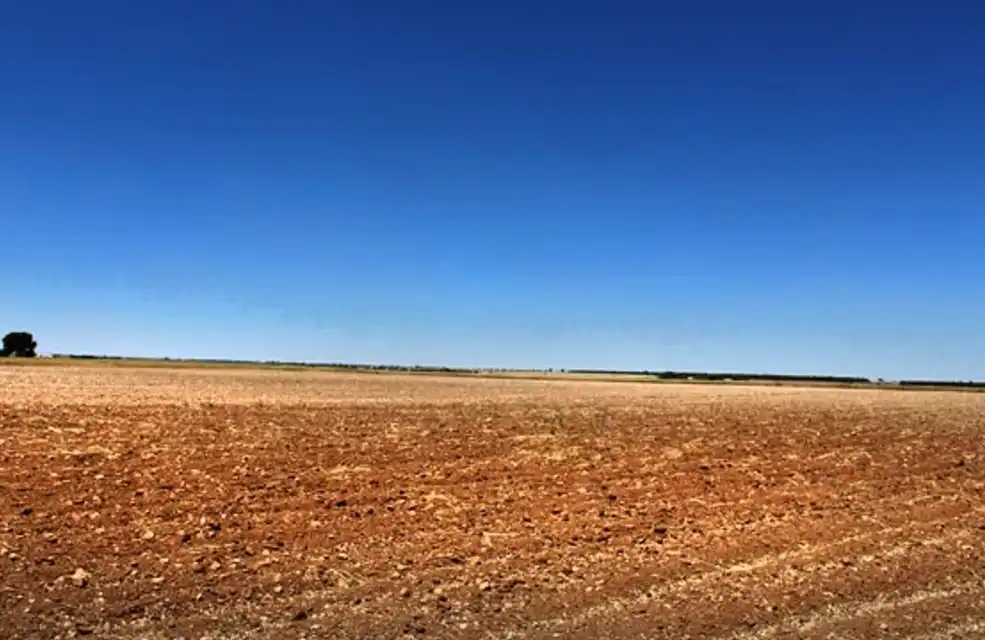 Terreny rústic en venda a La Roda