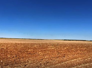 Rural land for sale in La Roda