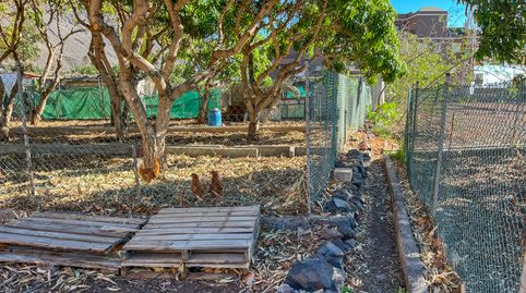Foto 4 von Grundstücke zum Verkauf in Calle Los Medanos, -1, Valle Gran Rey, Santa Cruz de Tenerife