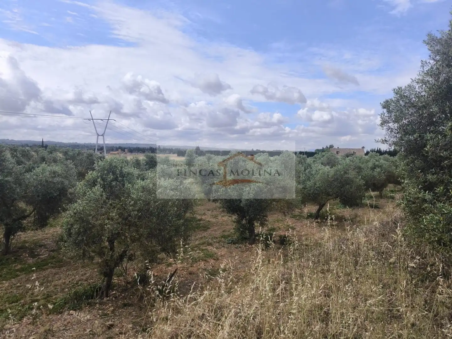 Terrenys i solars en venda a Sa Pobla, imagen 11